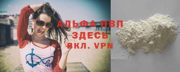 стаф Алексин