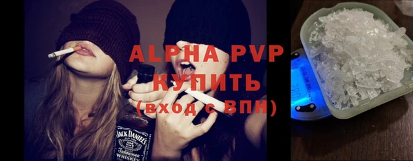 стаф Алексин