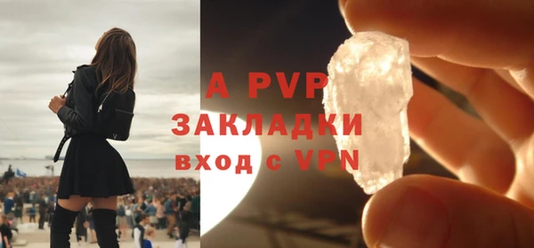 стаф Алексин