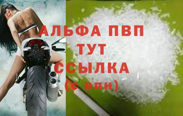 стаф Алексин