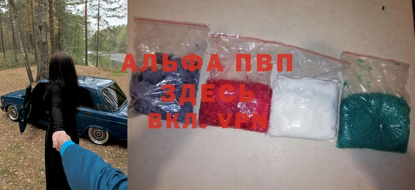 прущие грибы Алзамай