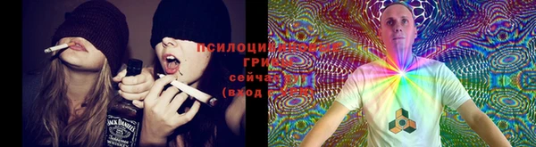 прущая мука Алексеевка
