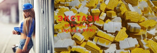 стаф Алексин