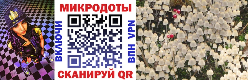 Псилоцибиновые грибы мухоморы  наркота  Гаджиево 